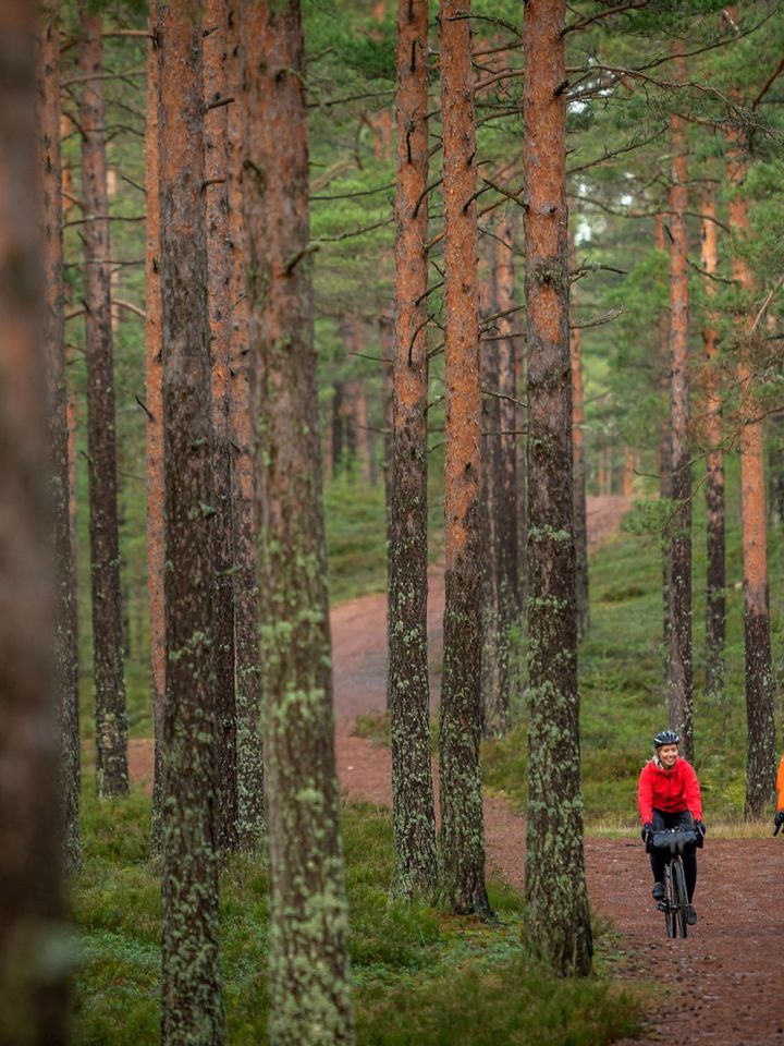 Finlande à vélo